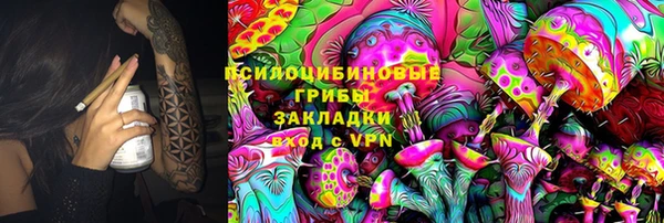 эйфоретик Алексин