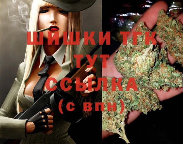 тгк Абинск