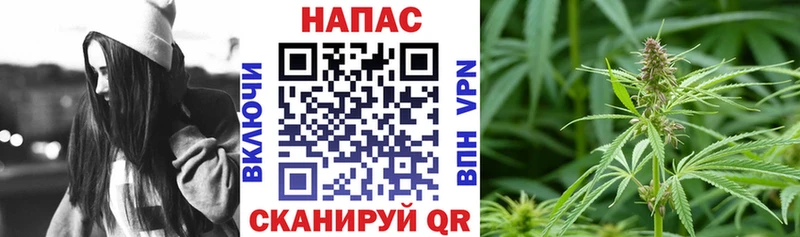 наркота  Азов  Конопля VHQ 